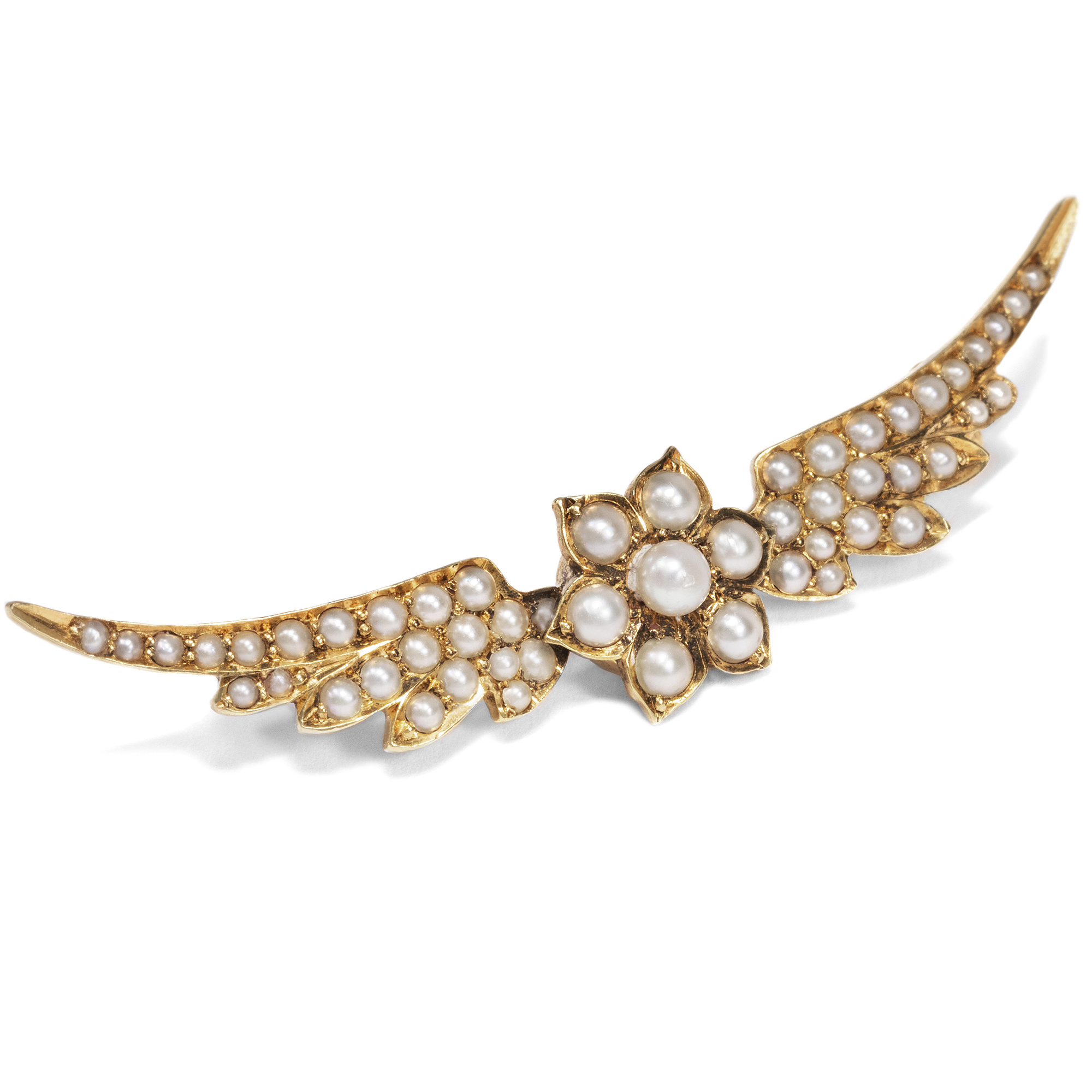 Antique Wing Brooch With Natural Pearls in Gold, Great Britain ca. 1900