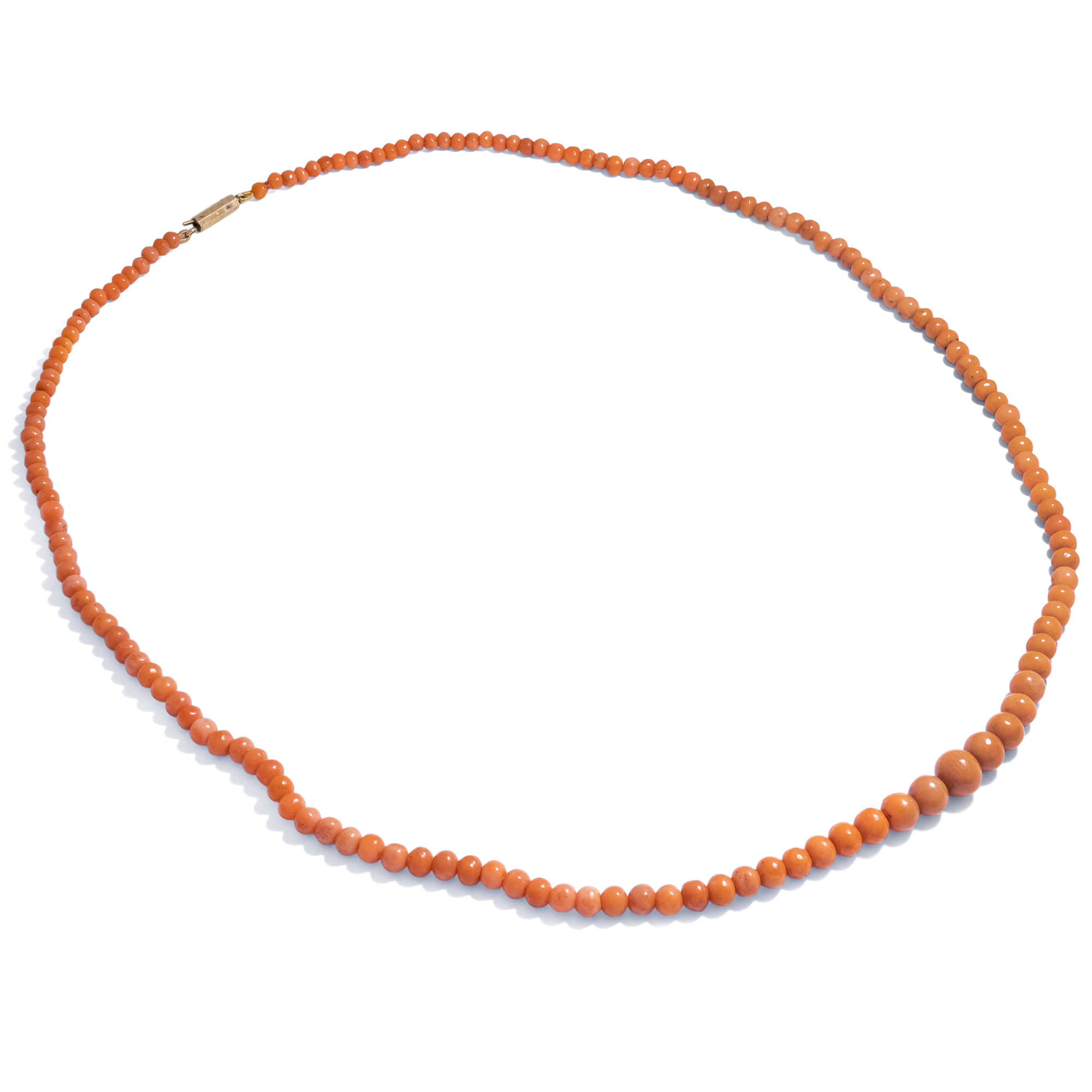 Antique Necklace Made of Salmon Coral with Gold Clasp, ca. 1900