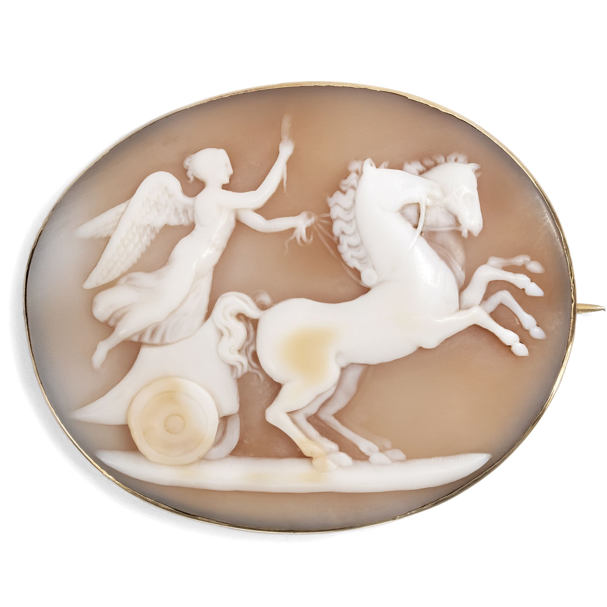 Große antike Brosche aus Gold mit Muschelgemme, um 1820 Große antike Brosche aus Gold mit Muschelgemme, um 1820