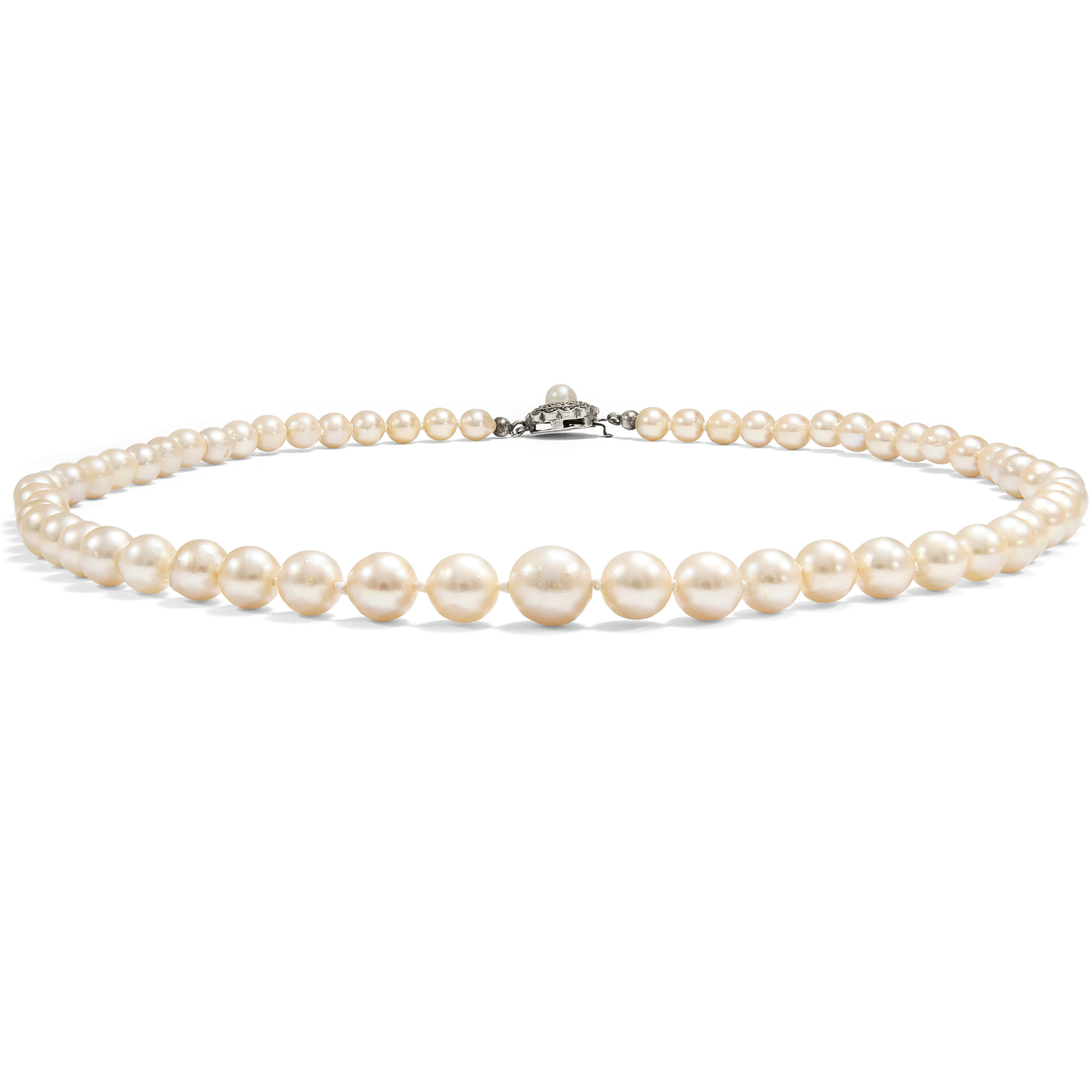 Schönes Collier aus Akoyaperlen im Verlauf mit Silberschließe, um 1950 Schönes Collier aus Akoyaperlen im Verlauf mit Silberschließe, um 1950